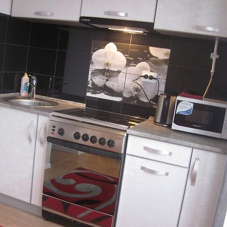 Vinnytsya Centre Apartment 文尼察 外观 照片